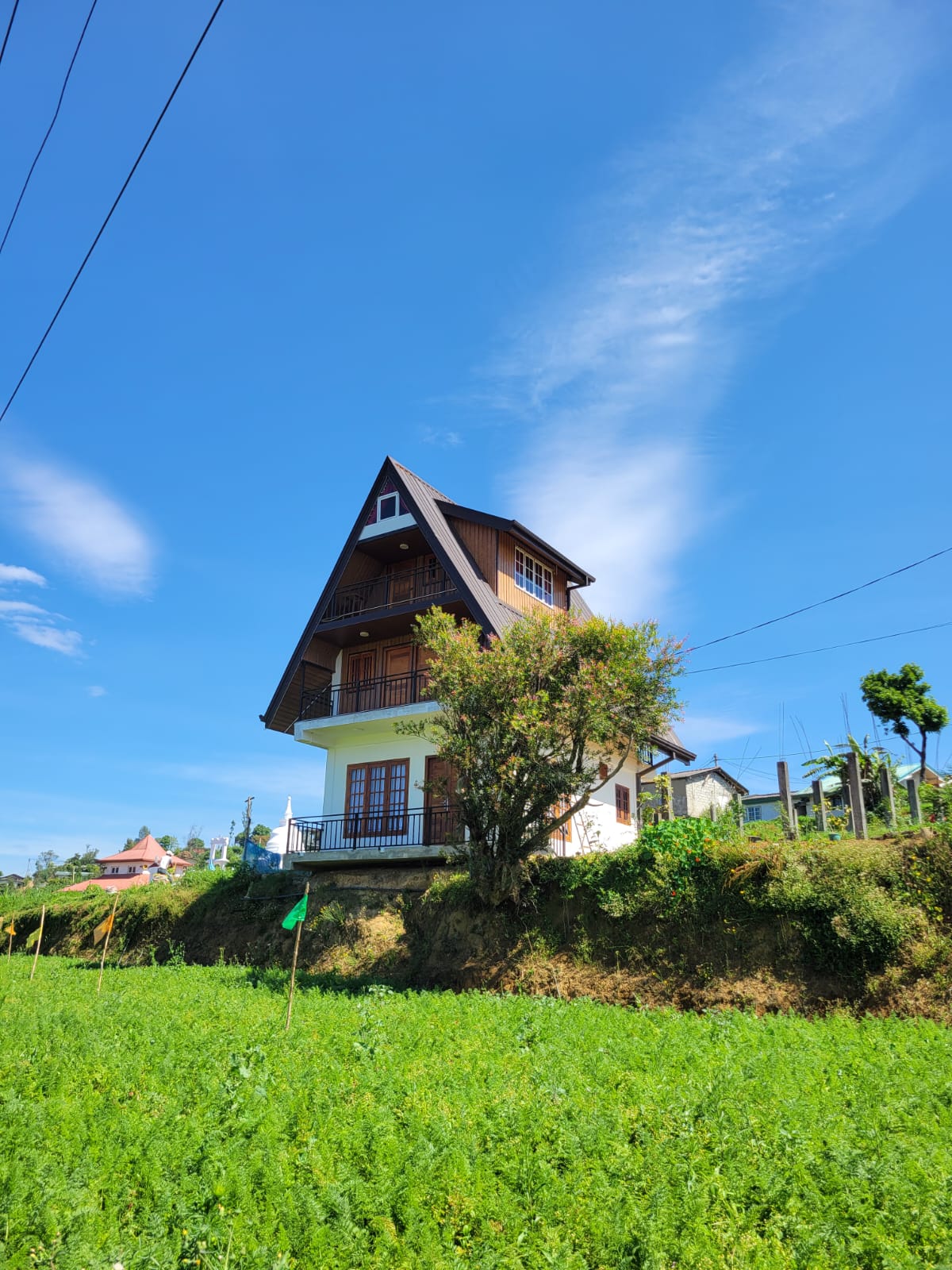 Cabins 138 Front Landscape View